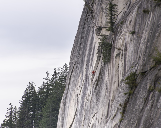 Action sports mountain backdrop